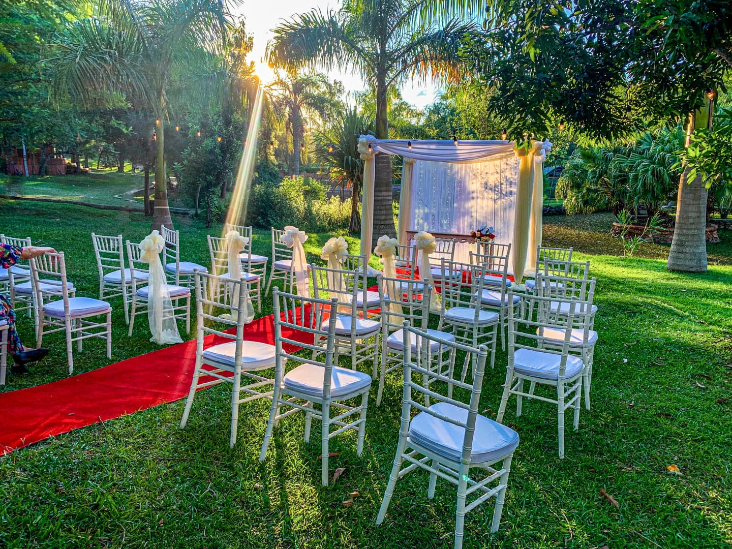 Jardín De Las Palmeras